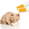 Pet Health Products Probiotic for Dogs and Cats Growth Booster